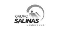 Logo Helados Grupo Salinas